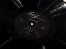 ◆132◆Faith Petric フェイス・ペトリック LP レコード 70年代 アメリカ フォーク シンガー 洋楽_画像7