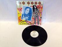 ◆135◆Mr.Dave 『DAVID LINDLEY』 LP レコード 70年代 80年代 アメリカ カントリー ロック R&B 洋楽_画像3