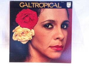 ◆152◆ 中古 LP レコード / GAL TROPICAL / GAL COSTA ガル・コスタ / 洋楽 60年代 ポルトガル