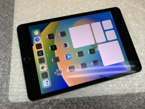 JB501 SIMフリー iPad mini 第5世代 Wi-Fi+Cellular A2124 スペースグレイ 256GB