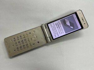 再DA410 docomo P-01E 判定○