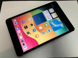 FI577 SIMフリー iPad mini 第5世代 Wi-Fi+Cellular A2124 スペースグレイ 64GB