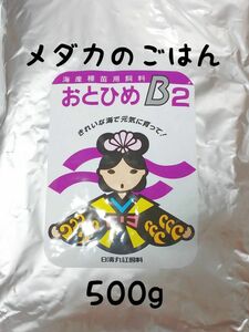 〇めだかのごはん おとひめB2 500g グッピー 熱帯魚リパック品