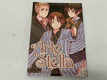 【N-5618】ヘタリア AXIS POWER ARTBOOK Arte Stella アルテステラ 特典完品 輸送箱開封済 現状品【千円市場】_画像3