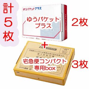 5枚セット ゆうパケットプラス専用箱 2枚 宅急便コンパクト専用box 3枚 