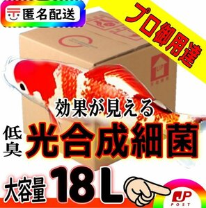 【錦鯉プロ専用】低臭タイプ光合成細菌PSB18L入★水質改善・浄化（バクテリア）針子・繁殖餌　 超活性★純粋単独培養種菌（検索用20L18Ｌ）