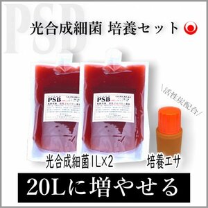 【 注目 】２０Lに増やして “ 超濃 ” 光合成細菌★培養セット★自分でふやしてPSBをたっぷり使う！（検索用：業務用,20L,18L,培基,餌,増