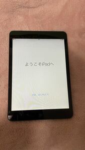 iPad mini スペース グレイ Wi-Fi+Cellular 第1世代　16GB 中古