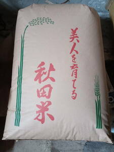 農家直送　古米　あきたこまち 精米10kg 減農薬栽培　令和4年産　秋田県産 