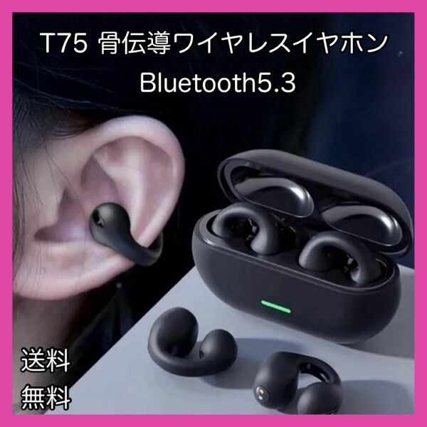 新品　T75 Bluetooth イヤーフック　ワイヤレスイヤホン　ブラック