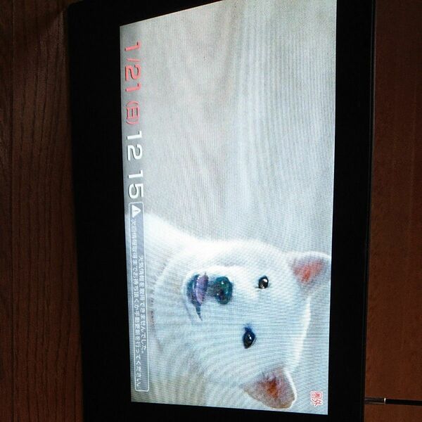 SoftBank PhotoVision TV 202HW