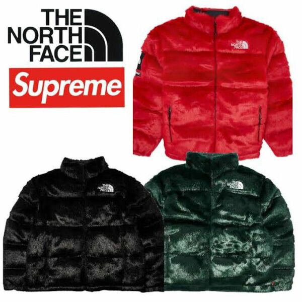 THE NORTH FACE x SUPREME ダウンジャケット　ヌプシ