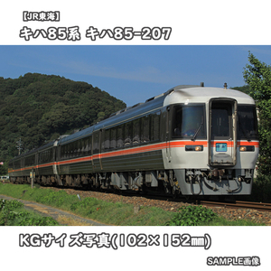 ◎KG写真【JR東海】キハ85系気動車 キハ85-207 ■ワイドビュー南紀 □撮影:紀勢本線 2013/8/17［KG1057］