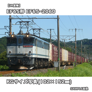 ◎KG写真【JR貨物】EF65形電気機関車 EF65-2060 ■貨物更新色 ■5087レ □撮影:東海道本線(新垂井線) 2023/9/24［KG1279］