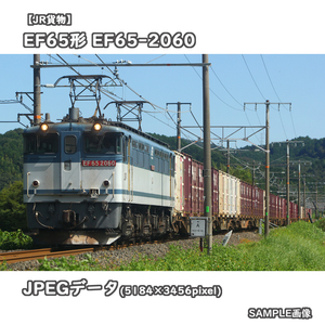 ★鉄道画像【JR貨物】EF65形電気機関車2000番台 EF65-2060 ■貨物更新色 ■5087レ □撮影:東海道本線 2023/9/24［管理№0862］