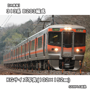 ◎KG写真【JR東海】313系電車 B203編成 ■セントラルライナー:中津川 □撮影:中央本線 2012/3/18［KG1405］