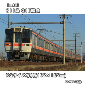 ◎KG写真【JR東海】311系電車 G15編成 ■特別快速:浜松 □撮影:東海道本線 2021/2/6［KG1443］