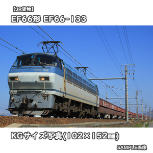 ◎KG写真【JR貨物】EF66形電気機関車 EF66-133 □撮影:東海道本線 2021/3/15［KG1513］