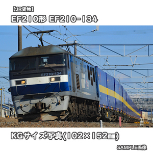 ◎KG写真【JR貨物】EF210形電気機関車 EF210-134 ■西濃運輸カンガルーライナー □撮影:東海道本線(新垂井線) 2022/2/11［KG1519］