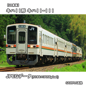 ★デジタル画像【JR東海】キハ11形気動車100番台 キハ11-111 ■熊野古道花火大会臨時列車 □撮影:参宮線 2014/8/17［№0259］