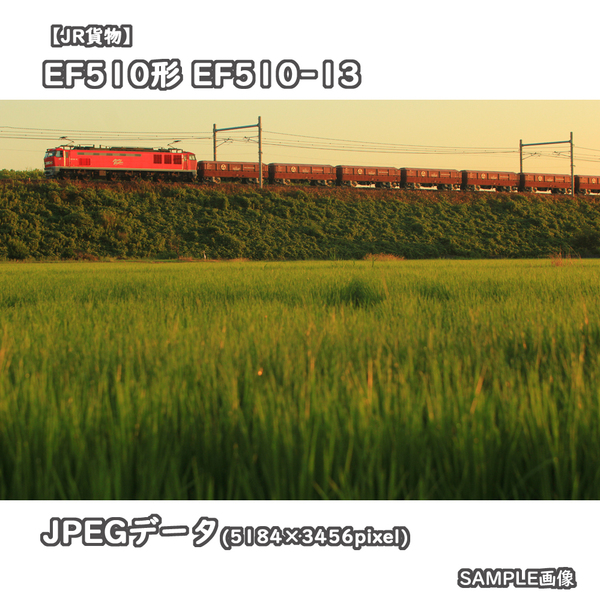 ★鉄道画像【JR貨物】EF510形電気機関車0番台 EF510-13 ■RED THUNDER ■5781レ □撮影:東海道本線 2023/8/12［管理№0860］