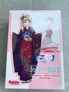 シェリー・ストレイ リアルタイプ 「ガール・ザ・ギャザリング」 1/8 ガレージキットガレキレジンプラモデルフィギュアホビージャパン