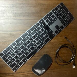 Apple アップル Magic Keyboard マジックキーボード テンキー マジックマウス 黒 ブラック ライトニングケーブル セット 希少