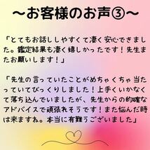 2024年　総合運命鑑定　運勢　全体運　総合運　恋愛運　仕事運　金運　健康運　結婚運　紫微斗数　占い　霊感タロット 令和6年　当たる_画像6