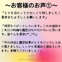 2024年　総合運命鑑定　運勢　全体運　総合運　恋愛運　仕事運　金運　健康運　結婚運　当たる　占い　霊感タロット 紫微斗数　令和6年_画像4