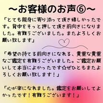 2024年　総合運命鑑定　運勢　全体運　総合運　恋愛運　仕事運　金運　健康運　結婚運　当たる　占い　霊感タロット 紫微斗数　令和6年_画像9