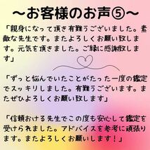 2024年　総合運命鑑定　運勢　全体運　総合運　恋愛運　仕事運　金運　健康運　結婚運　占い　当たる　霊感タロット 紫微斗数　令和6年_画像8