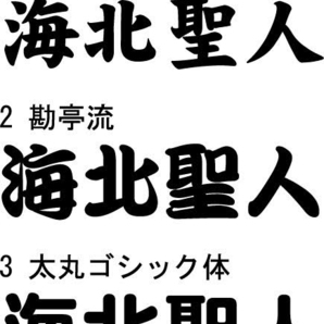 バッカンその他 カッティングネームステッカー【強粘着】 3文字で６００円 ※文字サイズ4ｃｍ各 縦・横書き対応の画像1