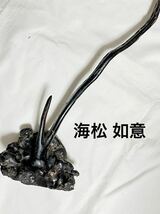 海松 如意 黒珊瑚 珊瑚 45cm 煎茶道具 法具 天然 さんご 骨董 仏教美術_画像1