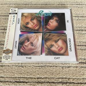 【新品未開封】POISON ポイズン/LOOK WHAT THE CAT DRAGGED IN・国内盤 SHM-CD リマスターの画像1