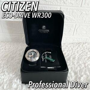 【美品】シチズン ダイバーズ エコドライブ CITIZEN 300m防水 メンズ ECO-DRIVE WR300 Professional Diver MODEL NO.BJ8050-08E