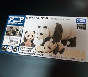  animal adventure ja Ian to Panda figure Takara Tommy 