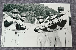 Lサイズの白黒生写真/広島東洋カープの選手たち