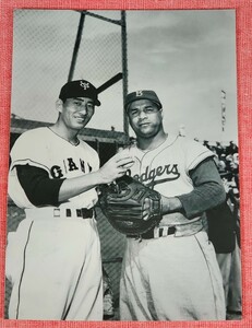 Lサイズの白黒生写真/別所投手(巨人)とキャンパネラ捕手(ドジャース)　1956年日米親善野球