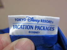 美品 TDR TOKYO DisneyRESORT 35周年 Vacation Packages 35th エコバッグ バッグ トートバッグ 東京ディズニーリゾート タ702_画像7