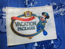 美品 TDR TOKYO DisneyRESORT 35周年 Vacation Packages 35th エコバッグ バッグ トートバッグ 東京ディズニーリゾート タ702_画像2