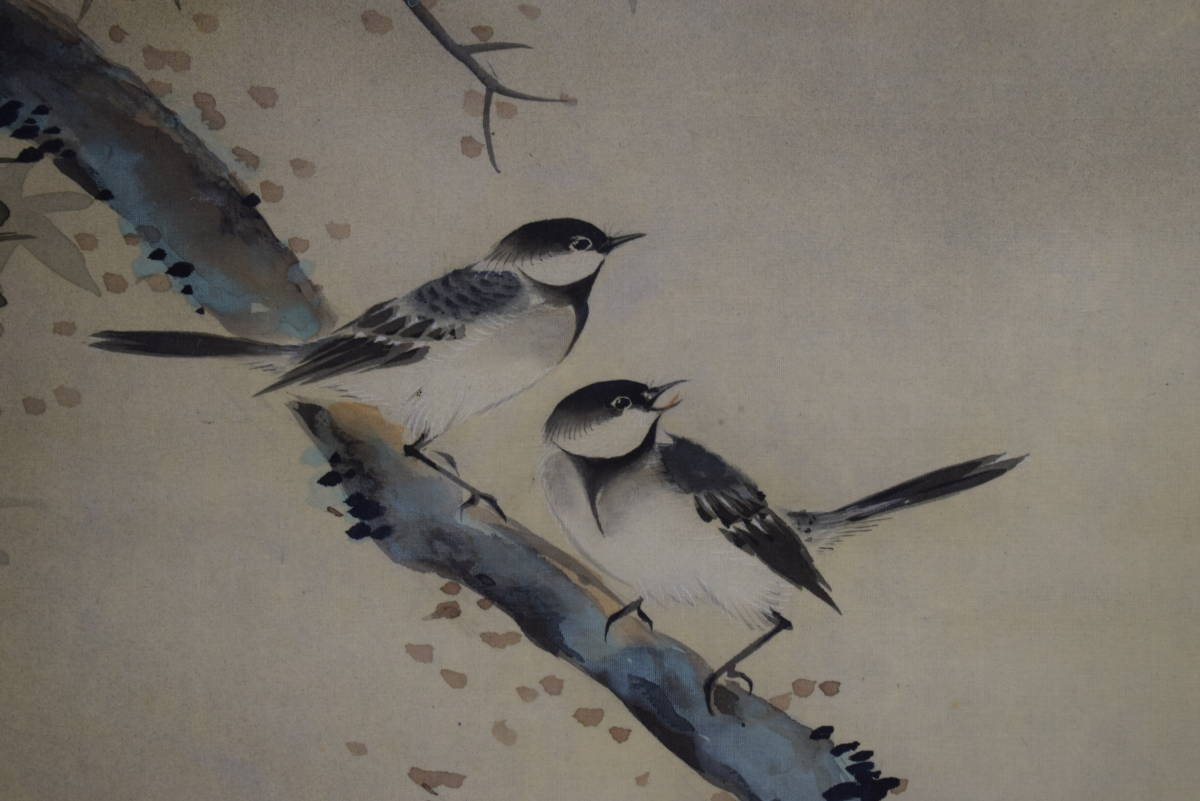 [Authentisch] / Kakuo / Ahornblätter und kleine Vögel / Hotei Hängerolle HG-72, Malerei, Japanische Malerei, Landschaft, Wind und Mond