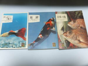 カラーブックス　3冊　「グッピーの魅力」「錦鯉」「日本の魚」
