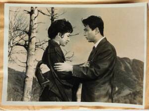 ☆1959年・映画写真★有馬稲子・高橋貞二『春を待つ人々』★16.5cm12.3cm・キャプション付き★