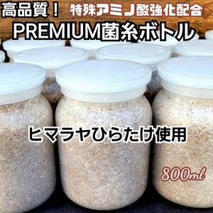 極上！ヒマラヤひらたけプレミアム菌糸瓶【800ml 】トレハロース・ローヤルゼリー・キトサン強化配合☆ニジイロクワガタ、オオクワにお薦め