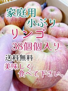 1月25日発送予定。会津の葉取らず家庭用小ぶりリンゴ