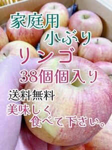 1月31日発送予定。会津の葉取らず家庭用小ぶりリンゴになります