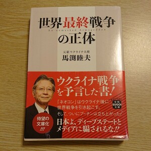 世界最終戦争の正体 （宝島ＳＵＧＯＩ文庫　Ａま－７－１） 馬渕睦夫／著