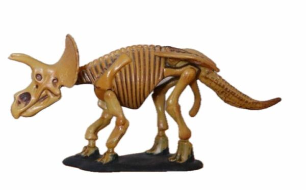 【古代生物コレクション】【未開封】チョコラザウルス　トリケラトプス骨格　