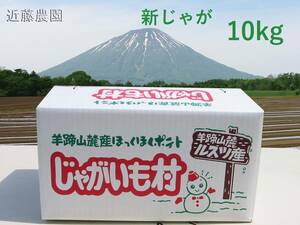 (近藤農園直送)北海道羊蹄山麓産【とうや】混みサイズ 10kg