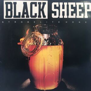 Black Sheep STROBLITEHONEY 12インチ LP レコード 5点以上落札で送料無料b